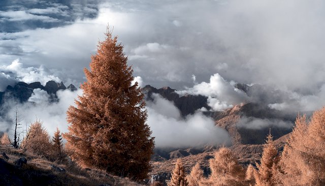 Alpe del Nevegal - Infrared - Belluno